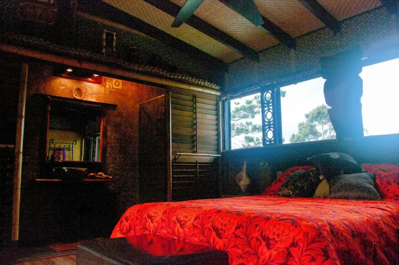 Tatil Evi The Luwow Lodge Coolum Beach